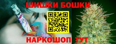 гидра Будённовск