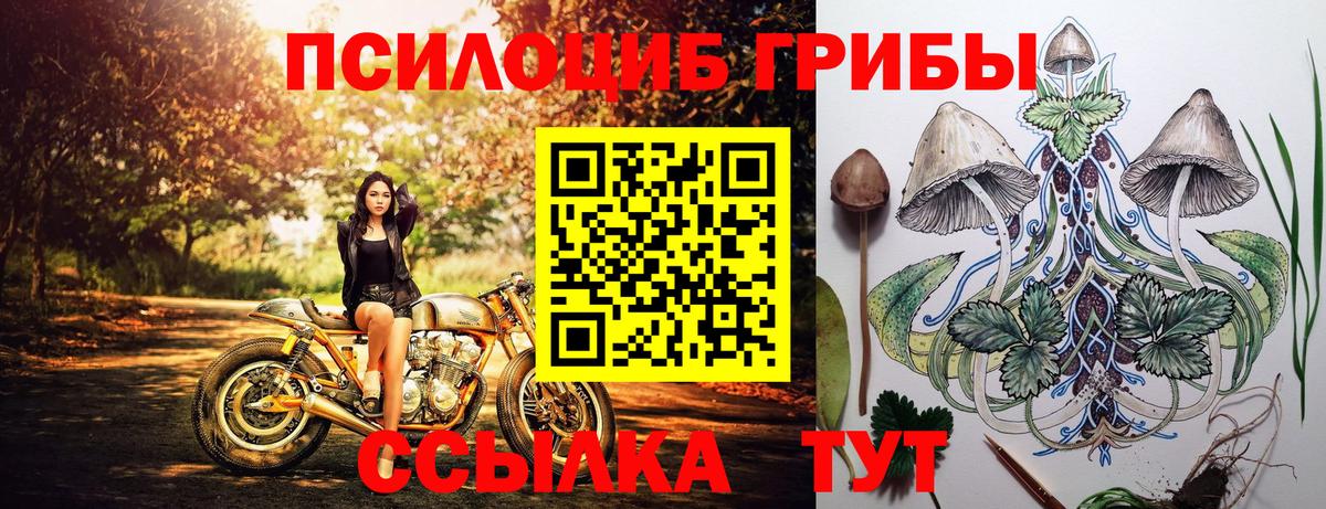 Галлюциногенные грибы мухоморы  Вход с VPN  Махачкала 